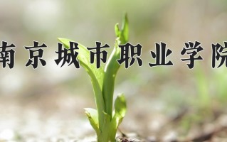 2024南京城市职业学院录取分数线：浙江最低467分