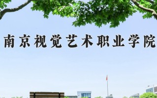 2024年南京视觉艺术职业学院招生章程，附办学层次和录取规则
