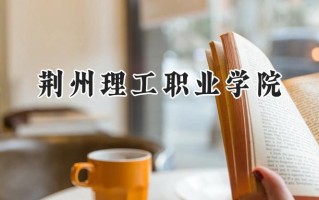 2024荆州理工职业学院录取分数线：江苏最低229分