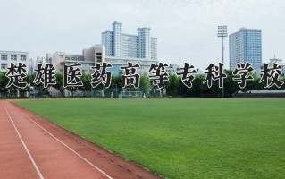 2025年楚雄医药高等专科学校在河南计划招生人数（附学费及专业录取分)
