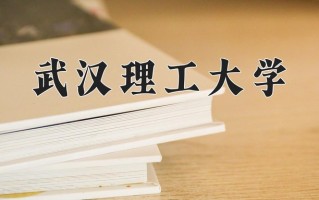 2024年武汉理工大学招生章程，附办学层次和录取规则
