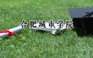 2024合肥城市学院录取分数线：山西最低380分