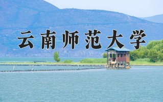 云南师范大学全国排名及2024年最低录取分数线