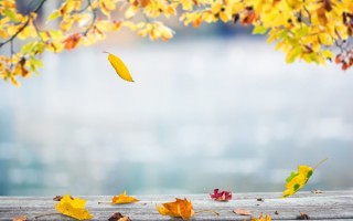 秋分养生运动（适合在秋分进行的锻炼方式）