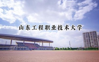 2024山东工程职业技术大学录取分数线：江苏最低262分