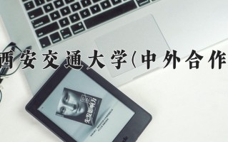 2025年西安交通大学(中外合作)在河北计划招生人数（附学费及专业录取分)