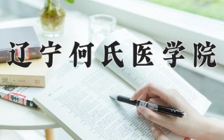 2024年辽宁何氏医学院招生章程，附办学层次和录取规则