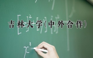 2025年吉林大学(中外合作)在重庆计划招生人数（附学费及专业录取分)
