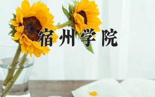 2024年宿州学院招生章程，附办学层次和录取规则