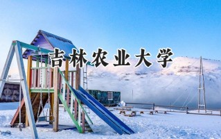 2024吉林农业大学录取分数线：江苏最低486分