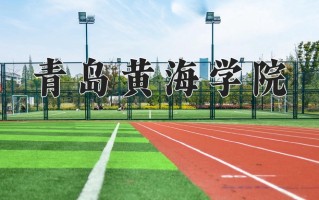 2024年青岛黄海学院招生章程，附办学层次和录取规则