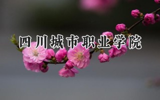 四川城市职业学院2024在青海录取分数线是多少？最低253分/最高299分