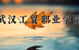 2024年武汉工贸职业学院招生章程，附办学层次和录取规则