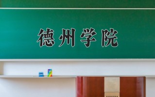 2025年德州学院在河南计划招生人数（附学费及专业录取分)