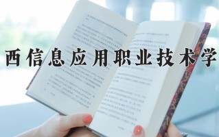 2025年江西信息应用职业技术学院在四川计划招生人数（附学费及专业录取分)