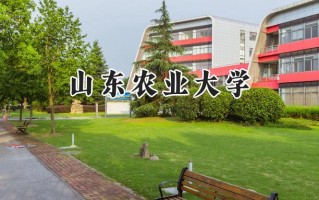 2024山东农业大学录取分数线：河南最低516分